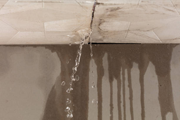 Professional Structural Drying technician working in Bushland, TX